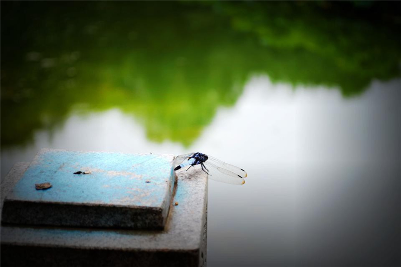 1433993184104352.jpg 1433993184104352.jpg