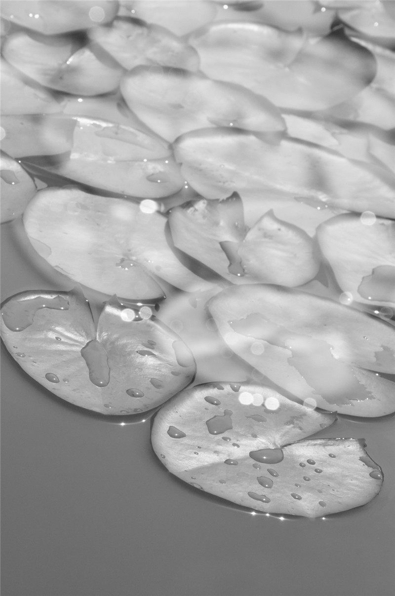 1433993175760844.jpg 1433993175760844.jpg